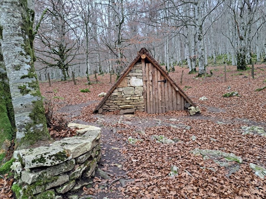 Fotos: Ruta mágica entre hayedos hacia la cima de Bargagain