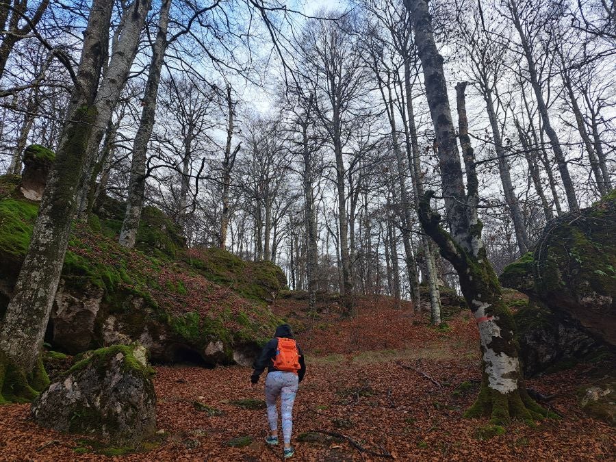 Fotos: Ruta mágica entre hayedos hacia la cima de Bargagain