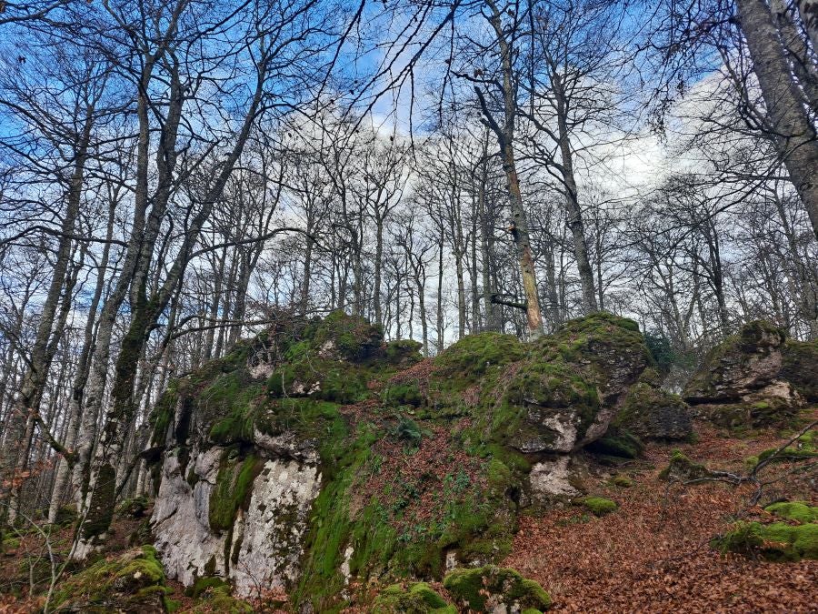 Fotos: Ruta mágica entre hayedos hacia la cima de Bargagain