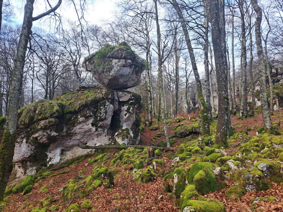 Fotos: Ruta mágica entre hayedos hacia la cima de Bargagain
