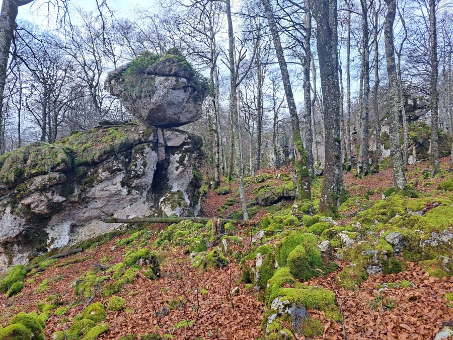 Fotos: Ruta mágica entre hayedos hacia la cima de Bargagain