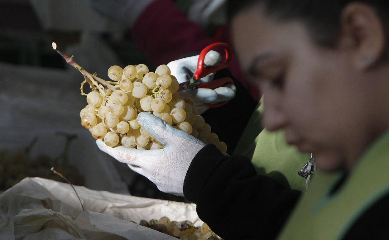 «Bost urtetik beherako haurrek ez lukete mahatsik jan beharko Urtezahar gauean»