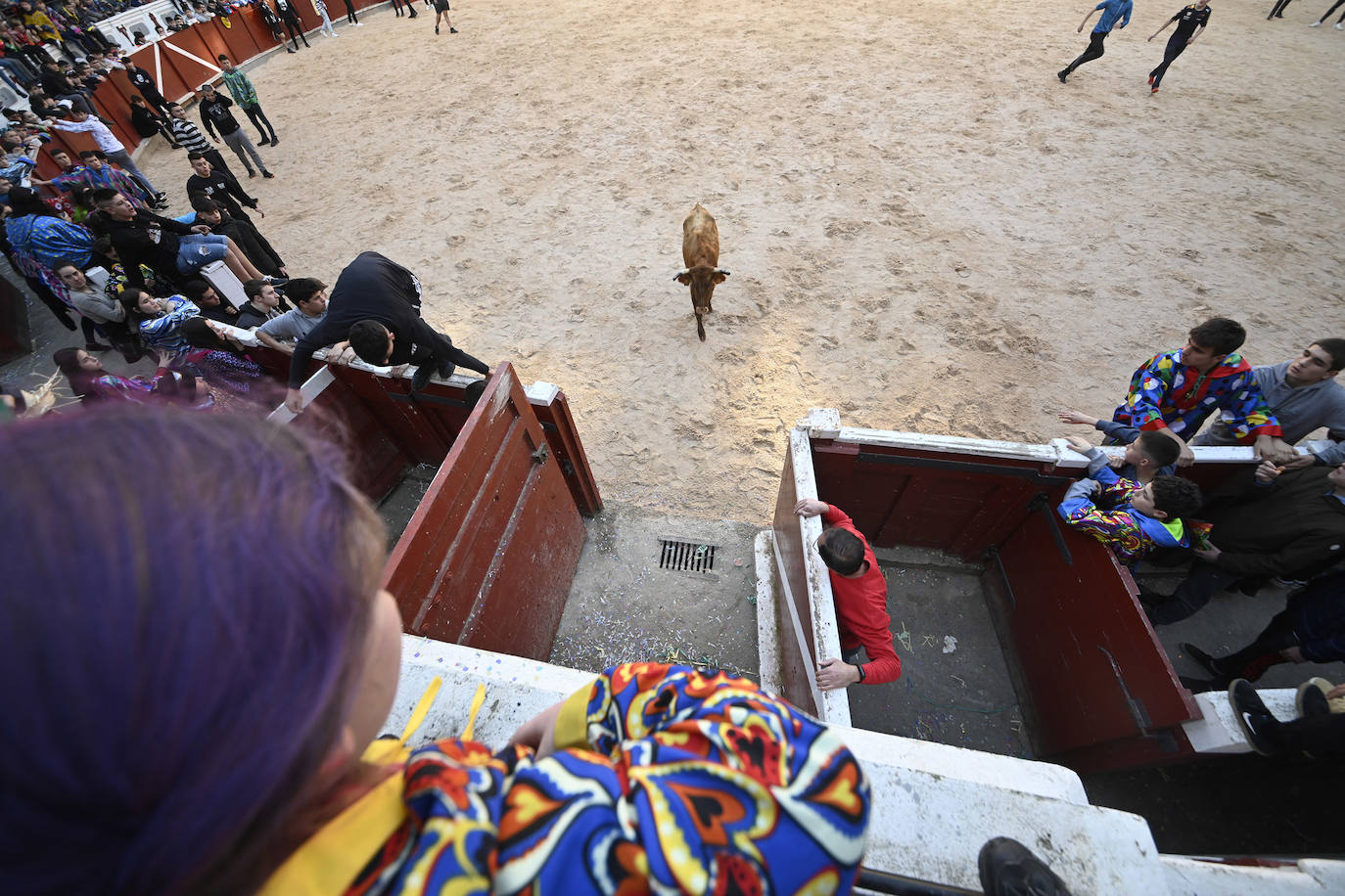 Viernes Flaco en Tolosa