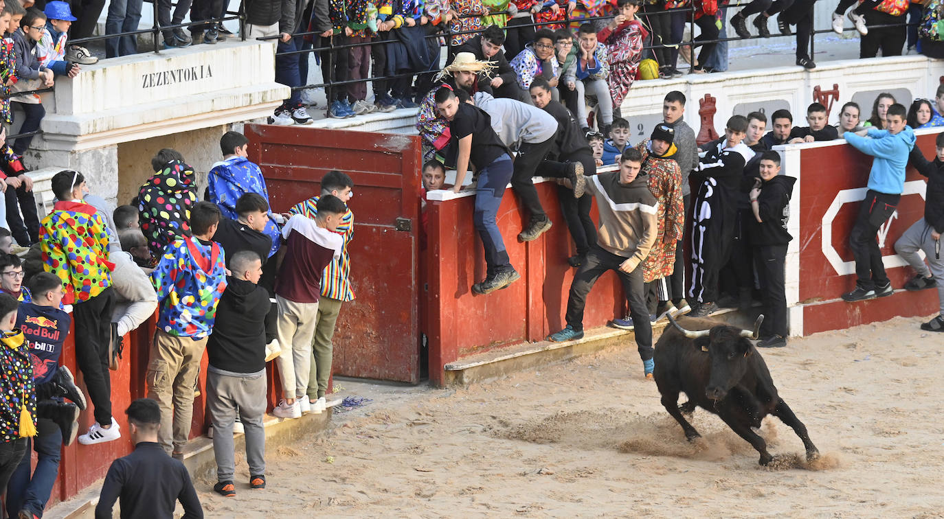 Viernes Flaco en Tolosa