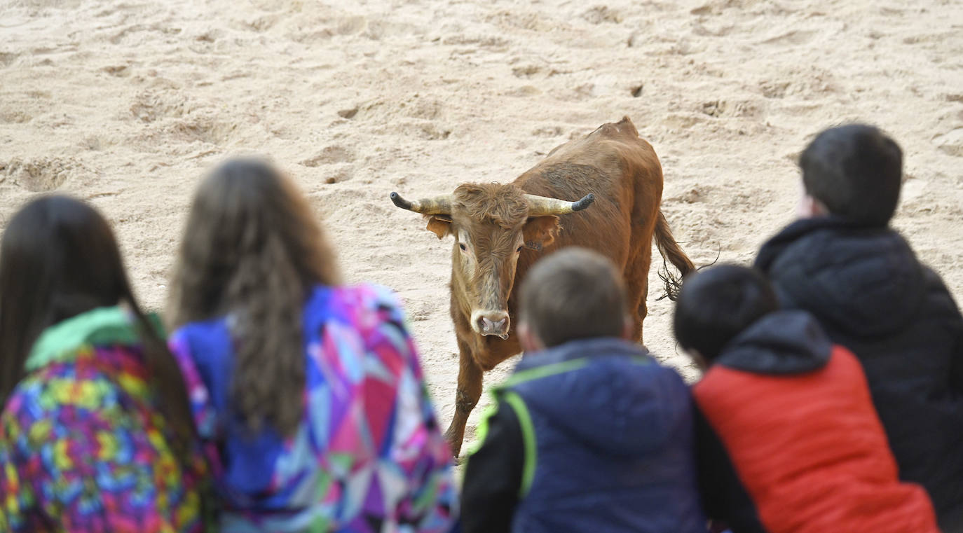 Viernes Flaco en Tolosa