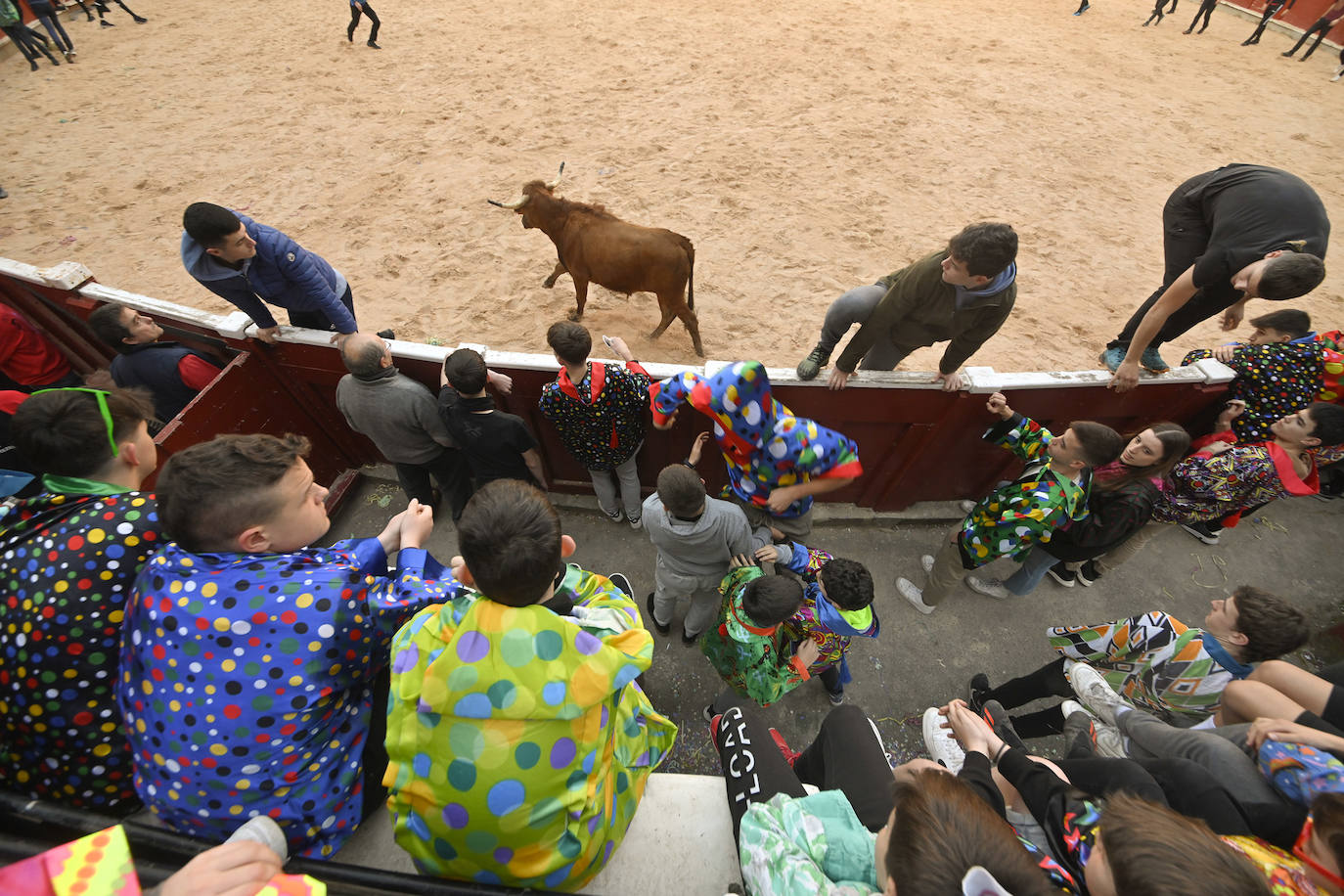 Viernes Flaco en Tolosa