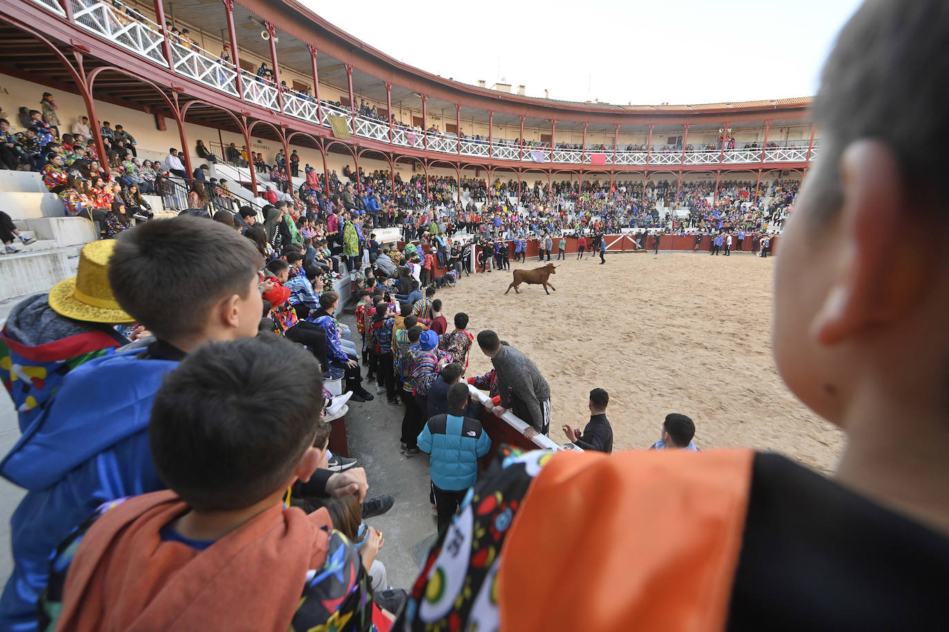 Viernes Flaco en Tolosa