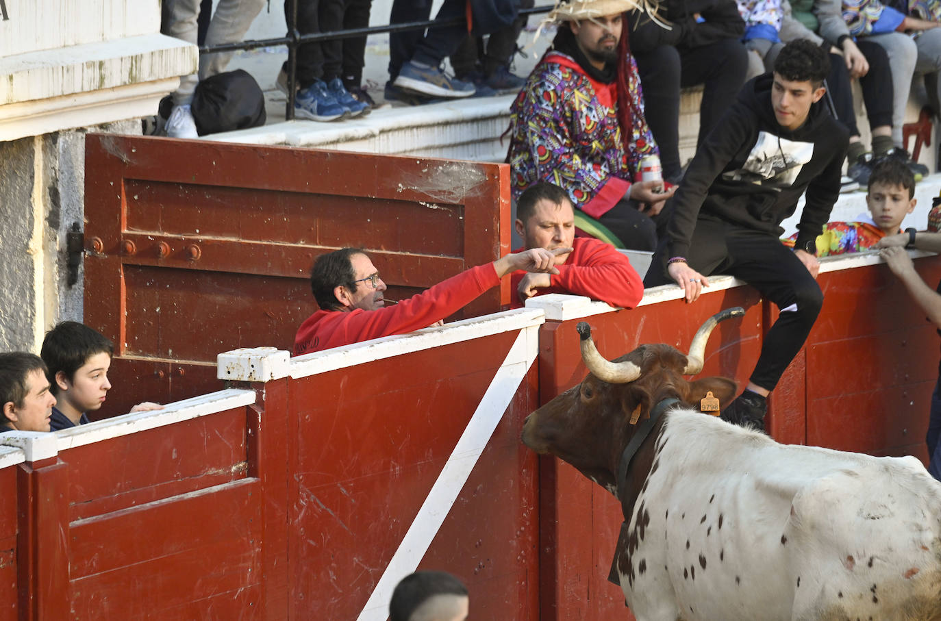 Viernes Flaco en Tolosa
