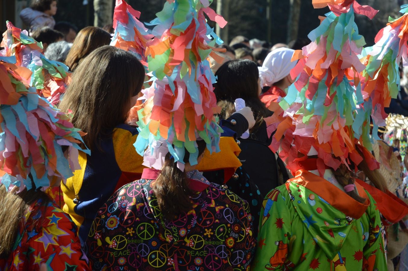 Colorido y soleado Sábado Regular en Tolosa