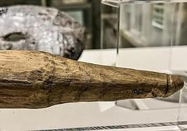 El objeto apareció en 1992 en el relleno de una zanja que debió realizarse en torno a los años 165 - 200.