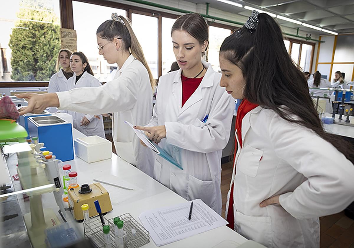 Ingeniaritza Biomedikoa masterreko ikasleak, laborategiko praktiketan, pasa den urtarrilean.