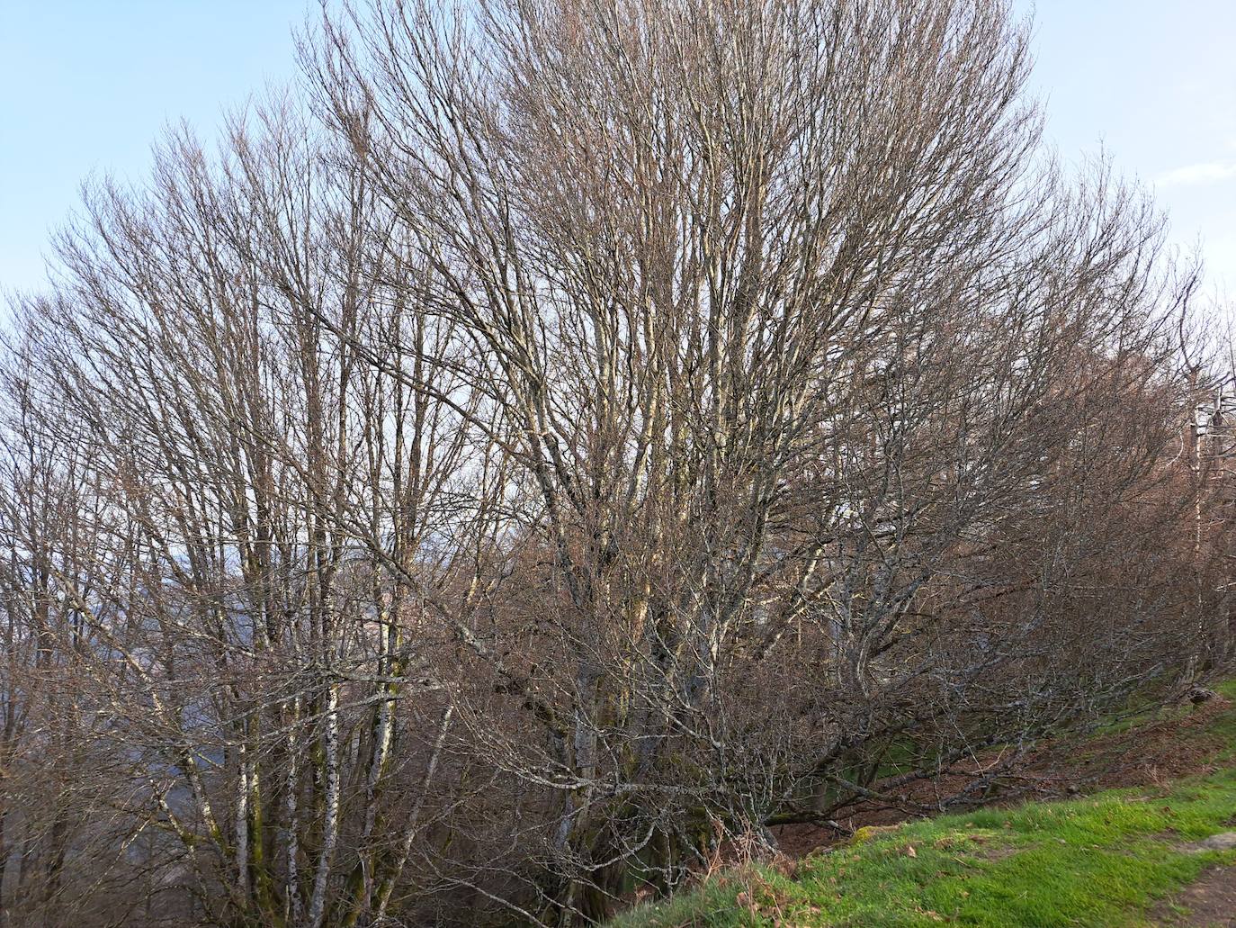 Cima con grandes panorámicas