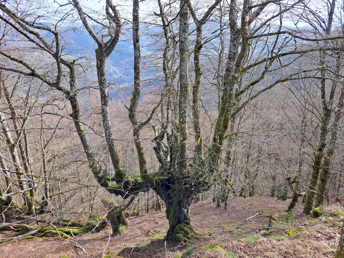 Cima con grandes panorámicas