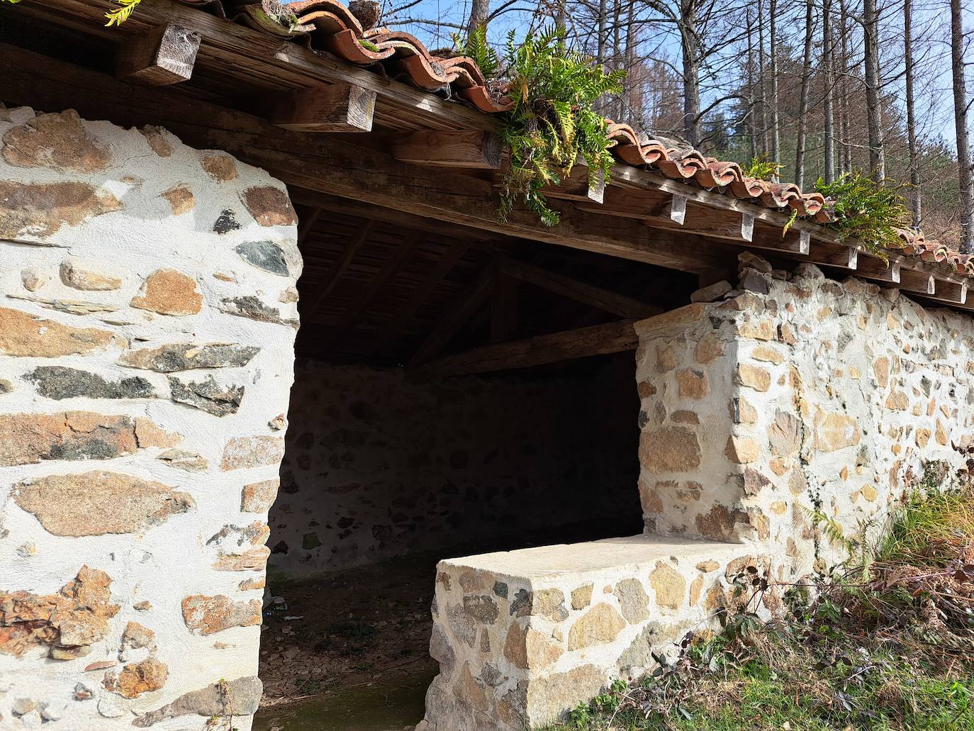 Cima con grandes panorámicas