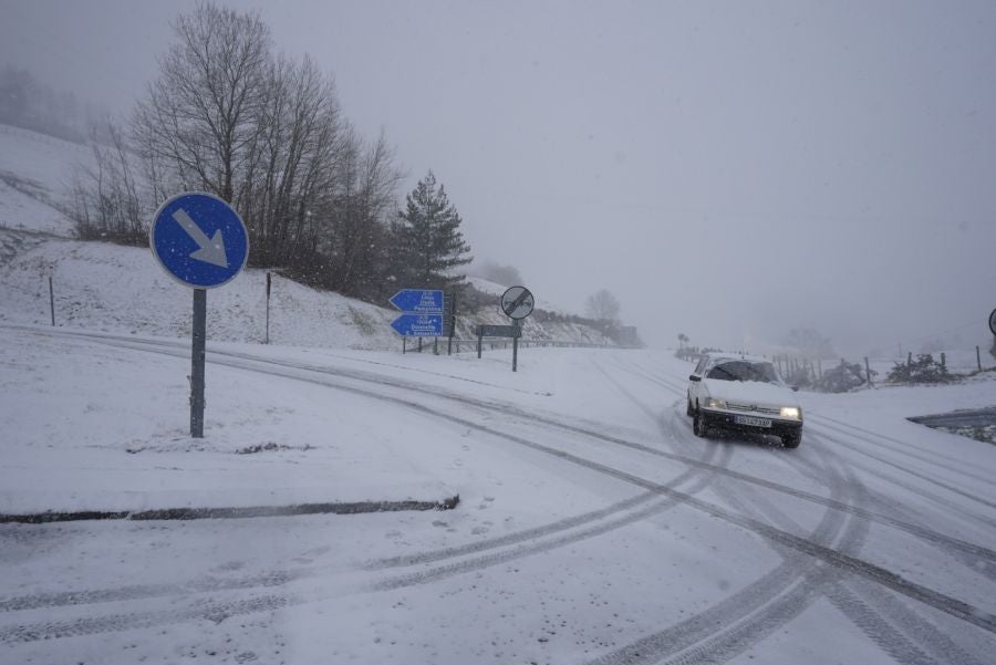 Nieve en Gipuzkoa: El manto blanco se extiende por el territorio