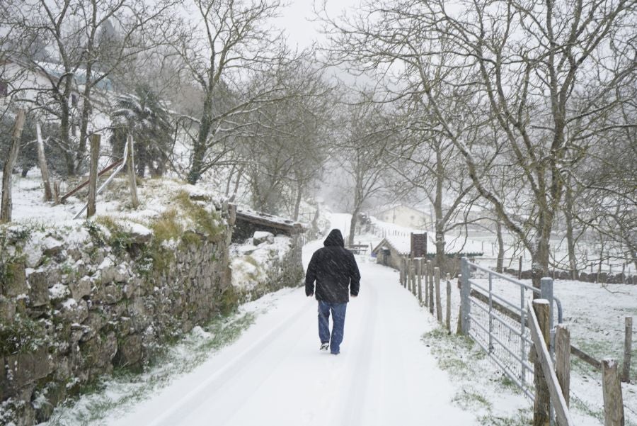 Nieve en Gipuzkoa: El manto blanco se extiende por el territorio