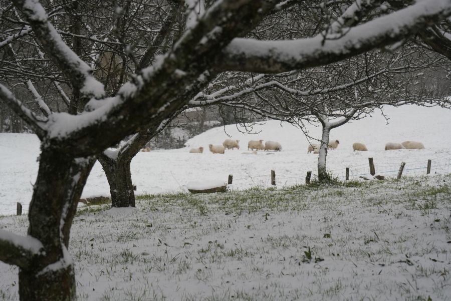 Nieve en Gipuzkoa: El manto blanco se extiende por el territorio