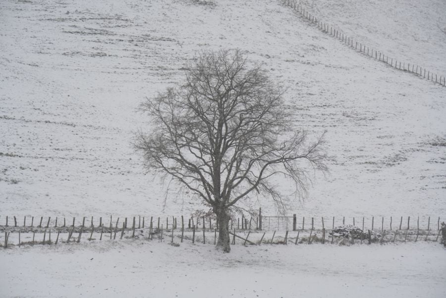 Nieve en Gipuzkoa: El manto blanco se extiende por el territorio