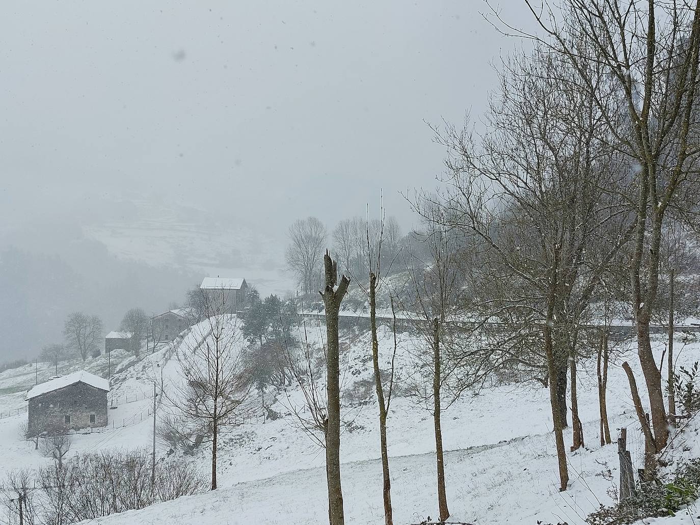 Nieve en Gipuzkoa: El manto blanco se extiende por el territorio