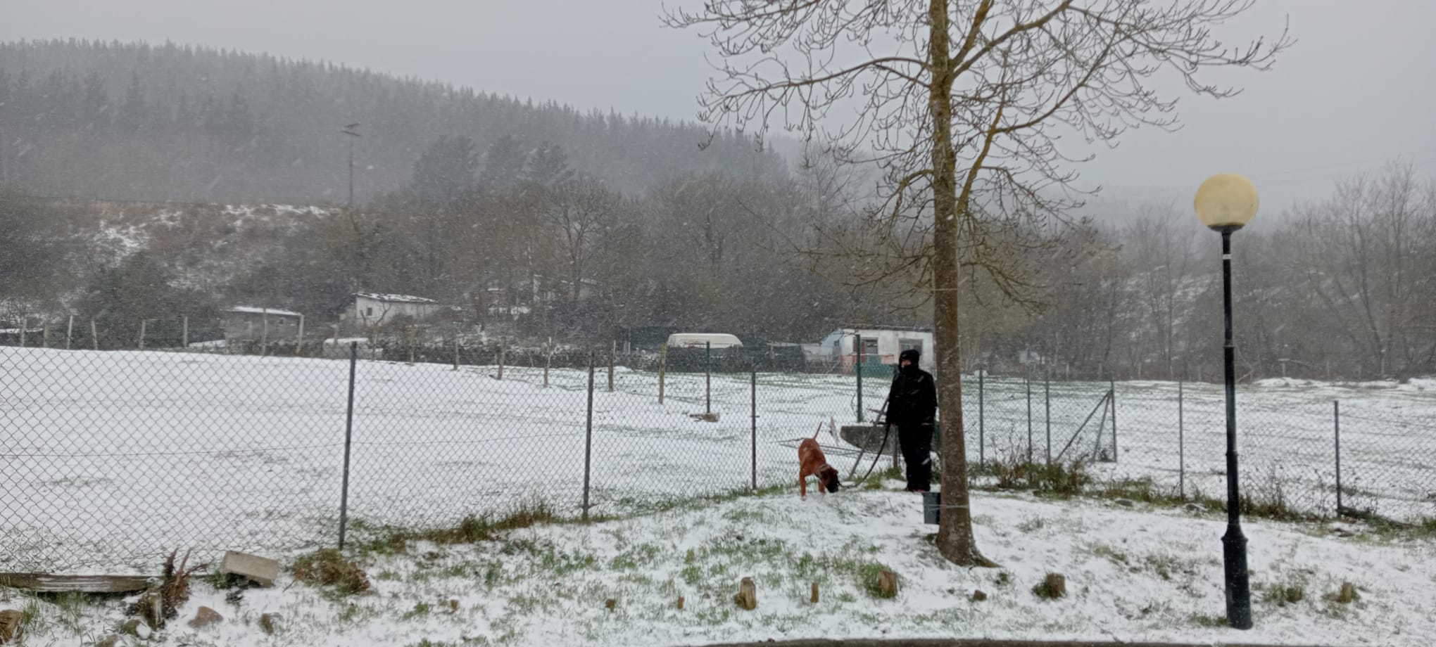 Nieve en Gipuzkoa: El manto blanco se extiende por el territorio