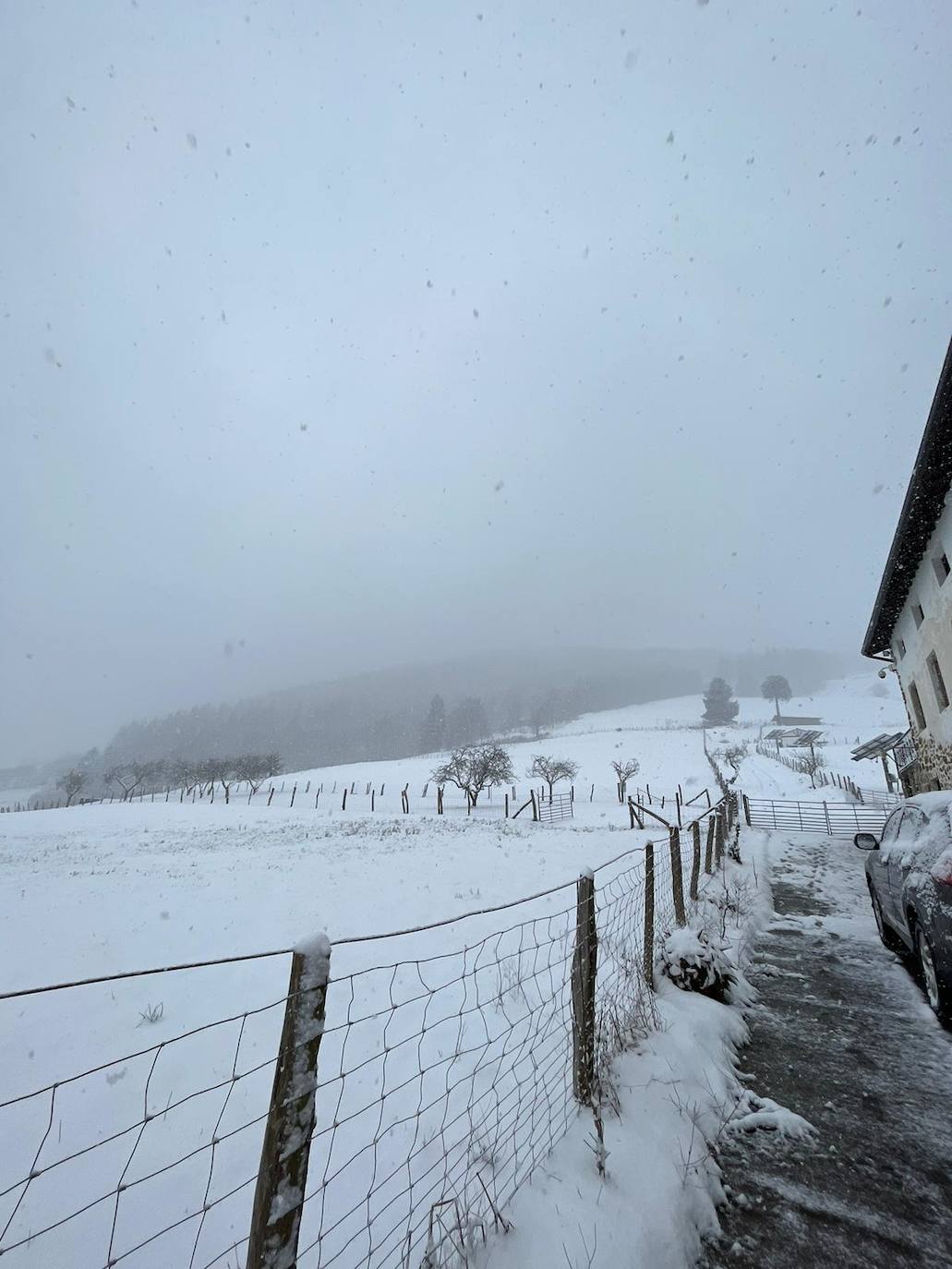 Paisaje nevado en Legazpi.