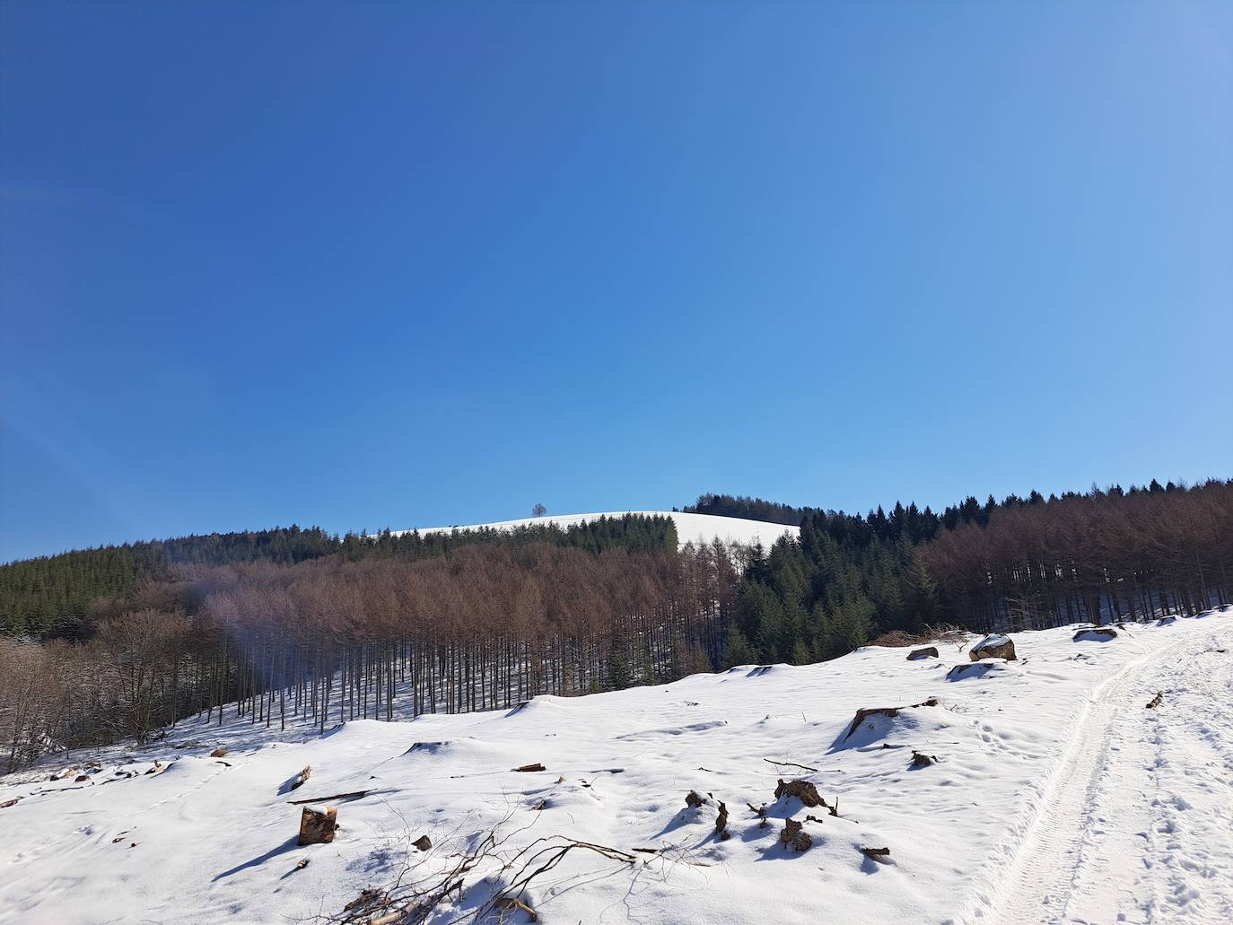 La cima de los mil secretos