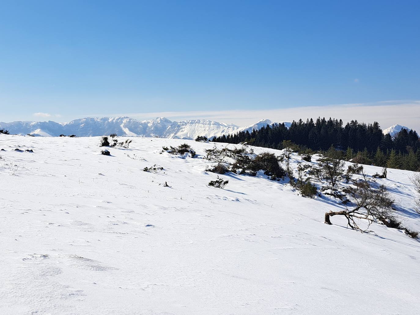 La cima de los mil secretos