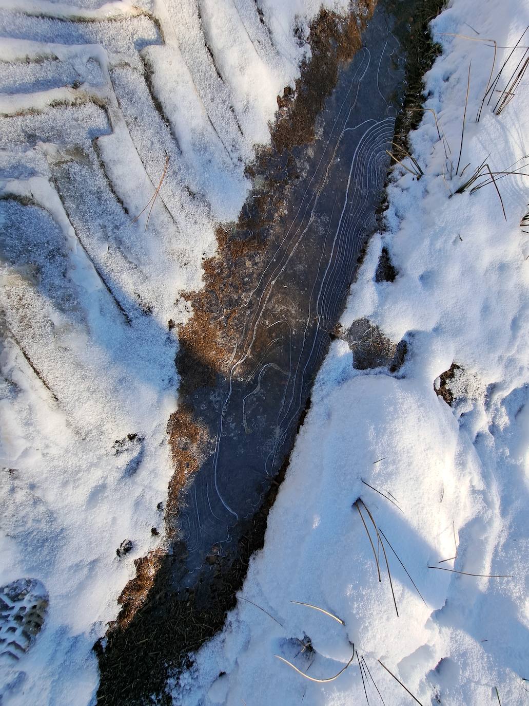 La cima de los mil secretos