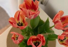 Tulipanes en tonos rosas y naranjas.