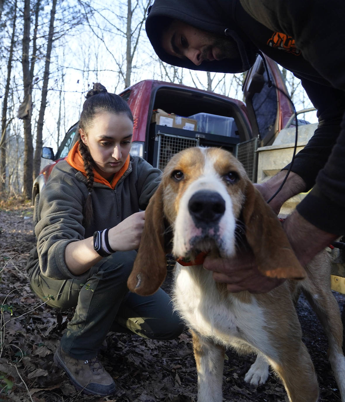 Las cazadoras se hacen su hueco