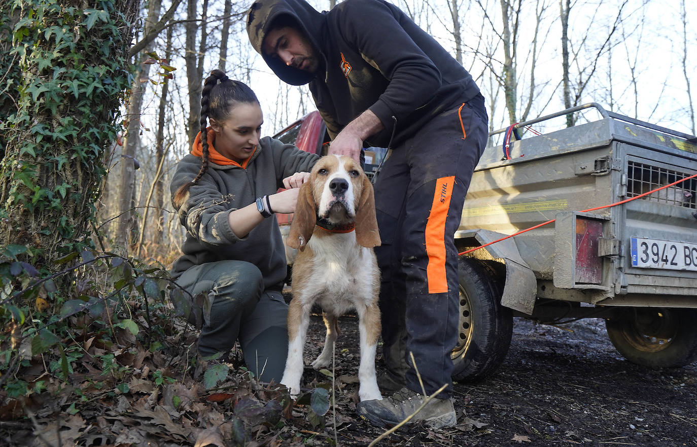 Las cazadoras se hacen su hueco