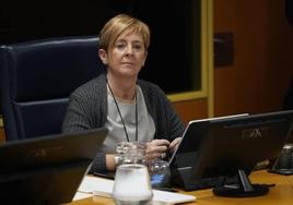 Arantxa Tapia ha comparecido esta mañana en la comisión de Desarrollo en el Parlamento Vasco.