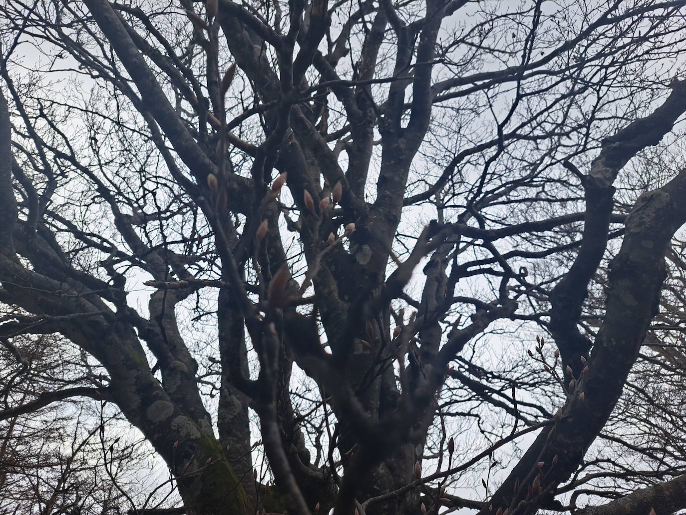 Las mejores imágenes de la ruta a Iruñarri