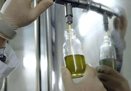 Análisis de una muestra de aceite de oliva.
