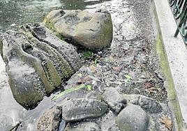 Escribe una lectora llamada Ana para quejarse de la «suciedad que hay en el estanque situado en la plaza Gipuzkoa. Siendo un lugar al que acuden tanto donostiarras como visitantes, creo que debería tener un aspecto mucho más cuidado y adecentado. La imagen es bastante deprimente».