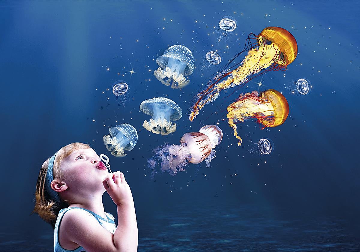 Cité de l'Océan y Aquarium de Biarritz