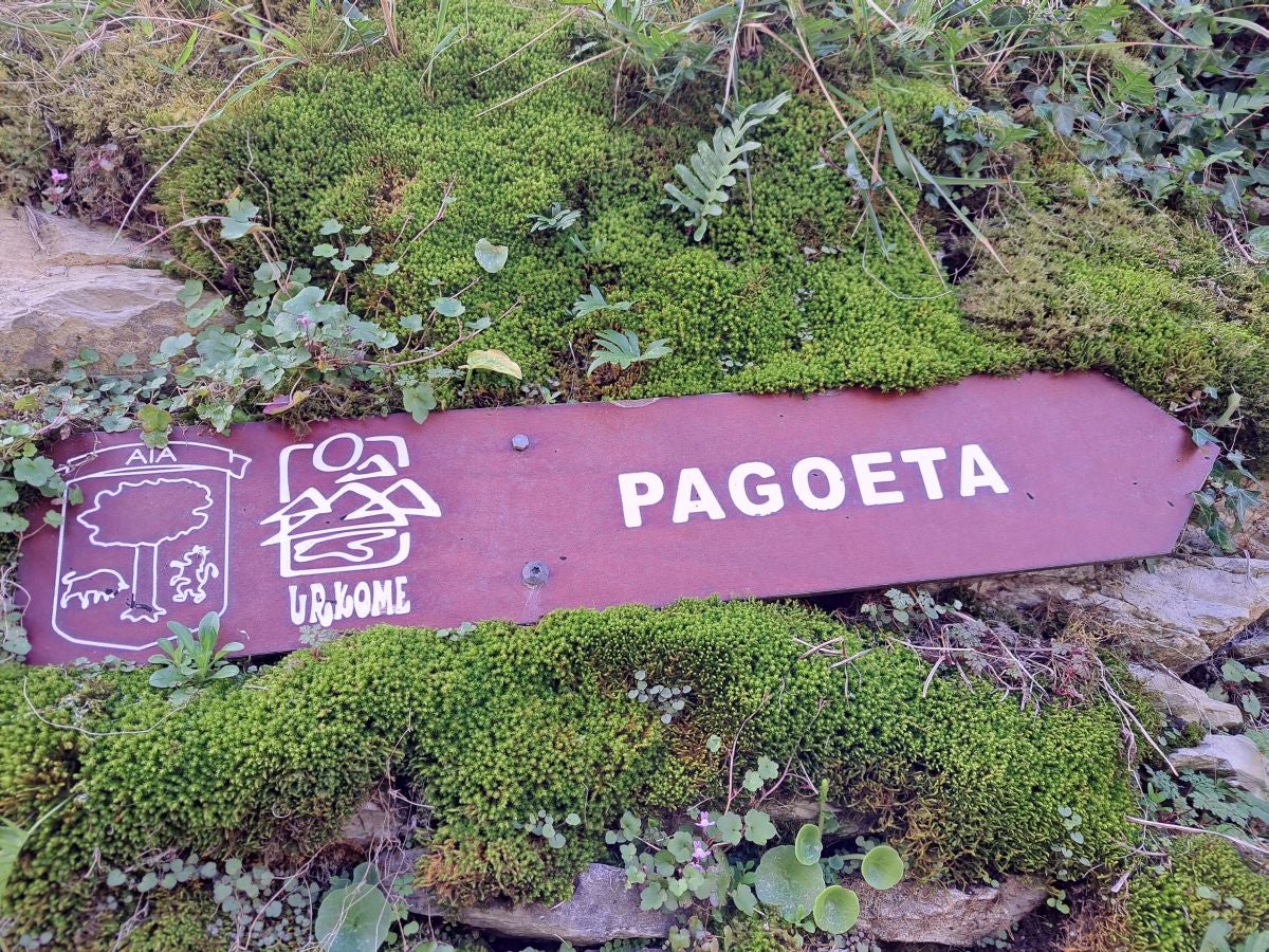 Las mejores fotos de la ruta por Pagoeta