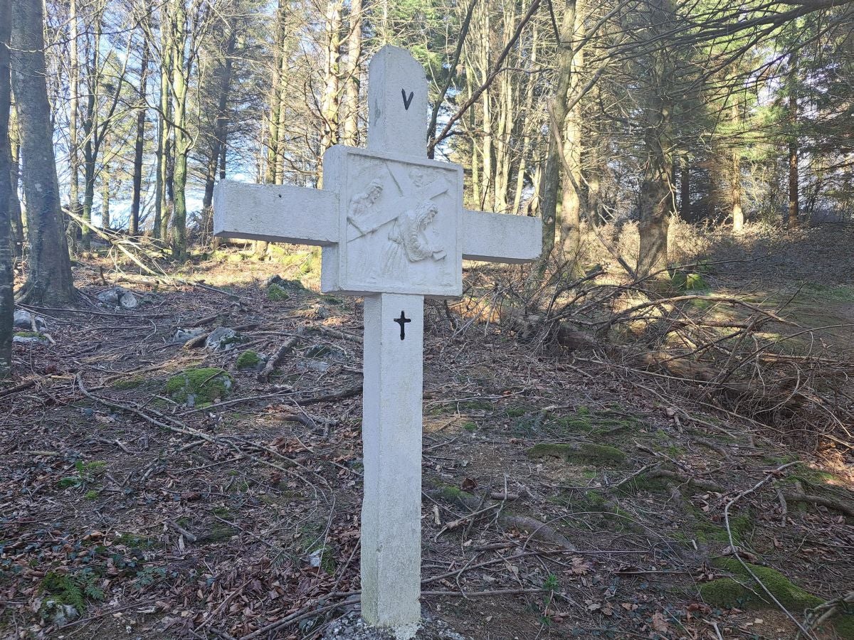 Las mejores fotos de la ruta por Pagoeta