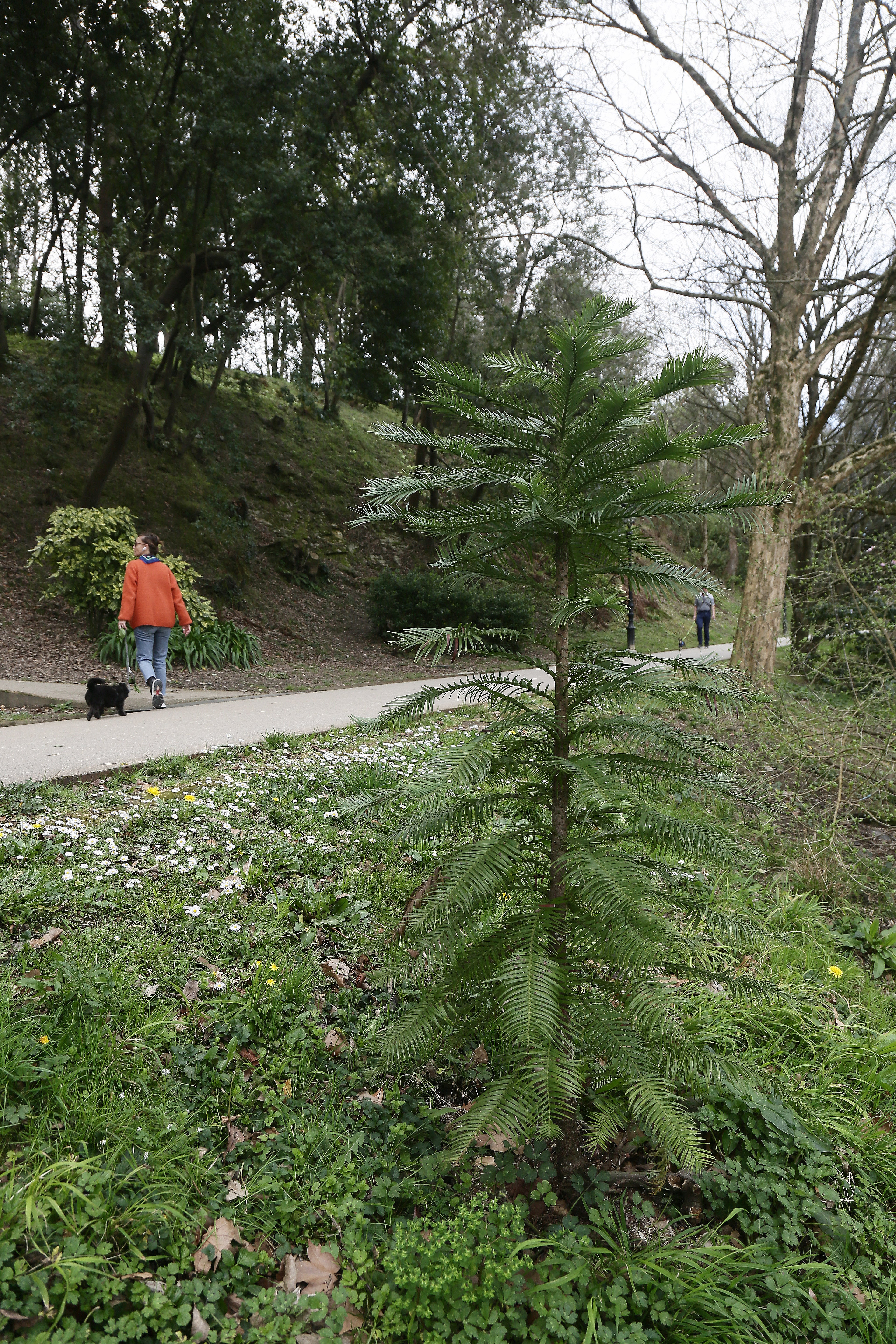 Cristina Enea, el legado del Duque de Mandas