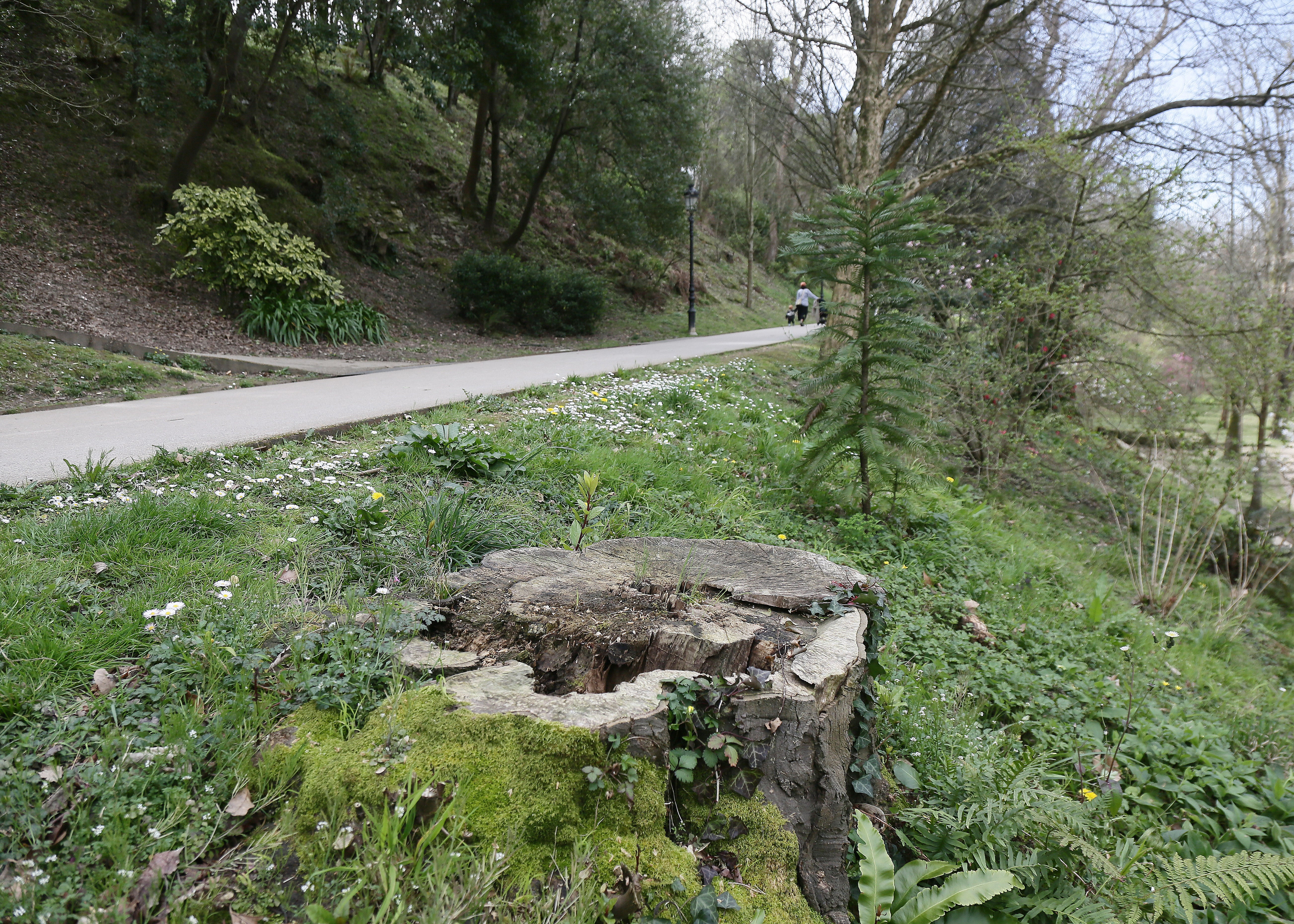 Cristina Enea, el legado del Duque de Mandas
