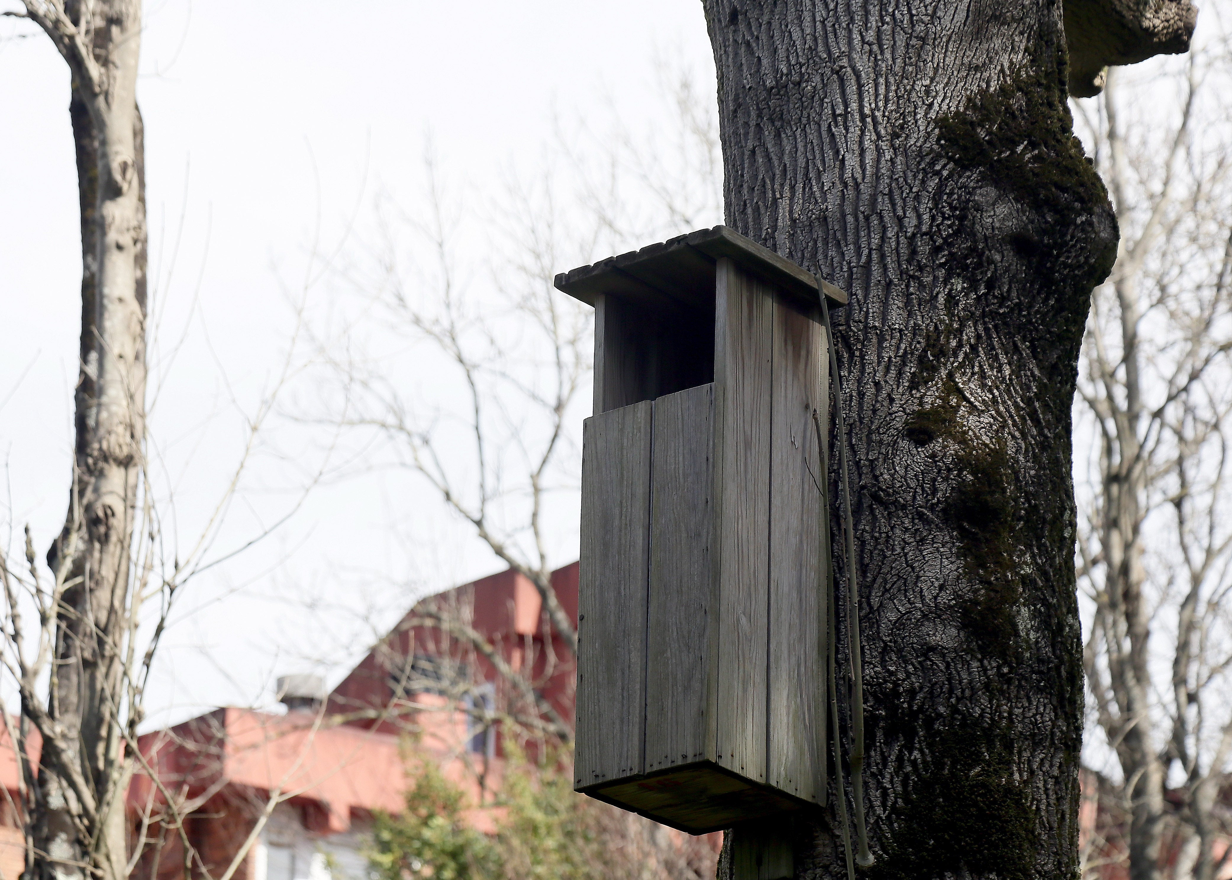 Cristina Enea, el legado del Duque de Mandas