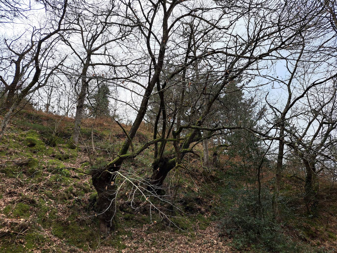 Aitzorrotz, una mole sobre el Alto Deba