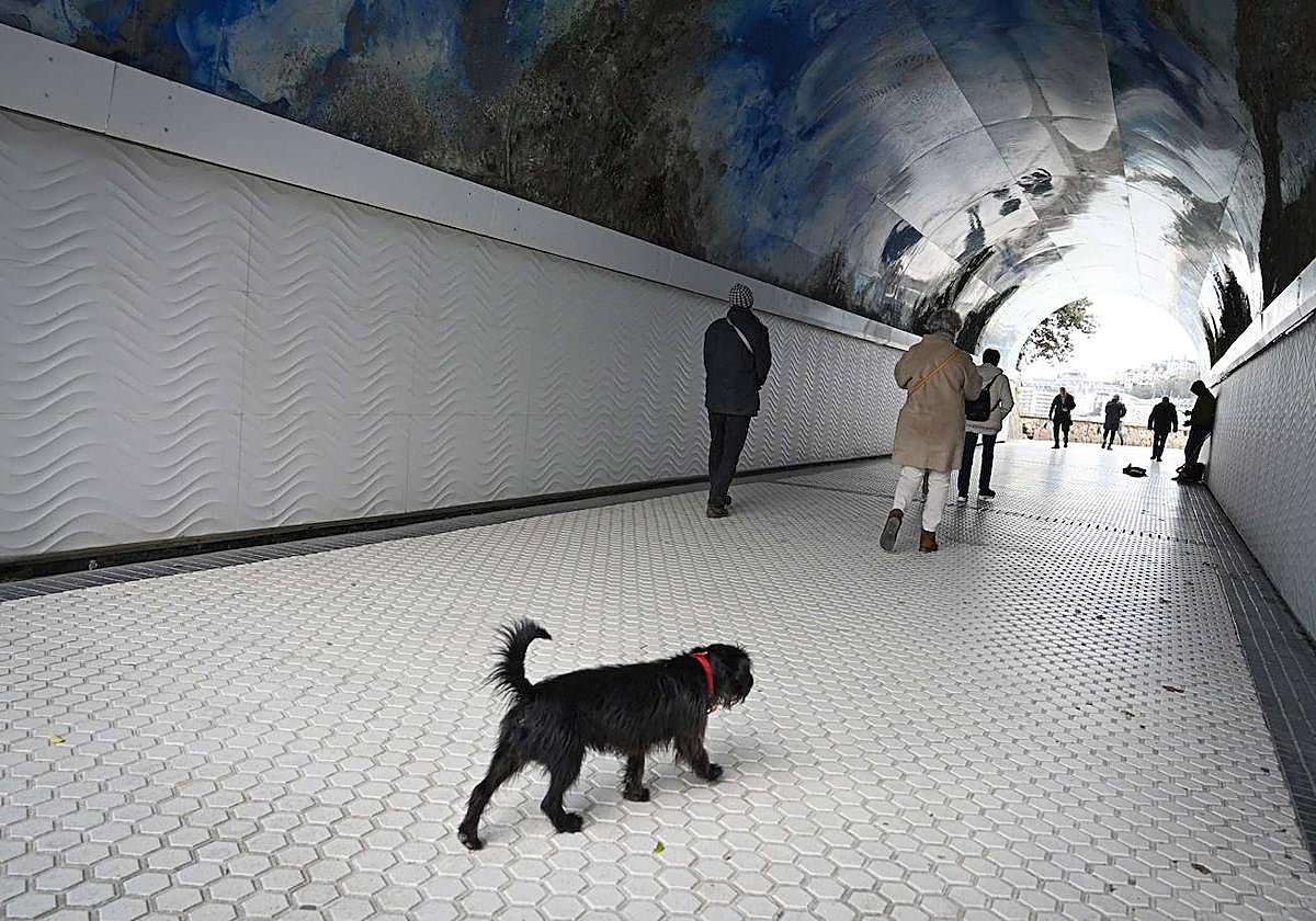 Un perro camina entre la gente en el túnel de Ondarreta.