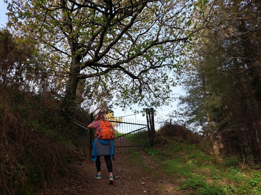 Oindo: Un precioso paraje entre Gipuzkoa y Navarra