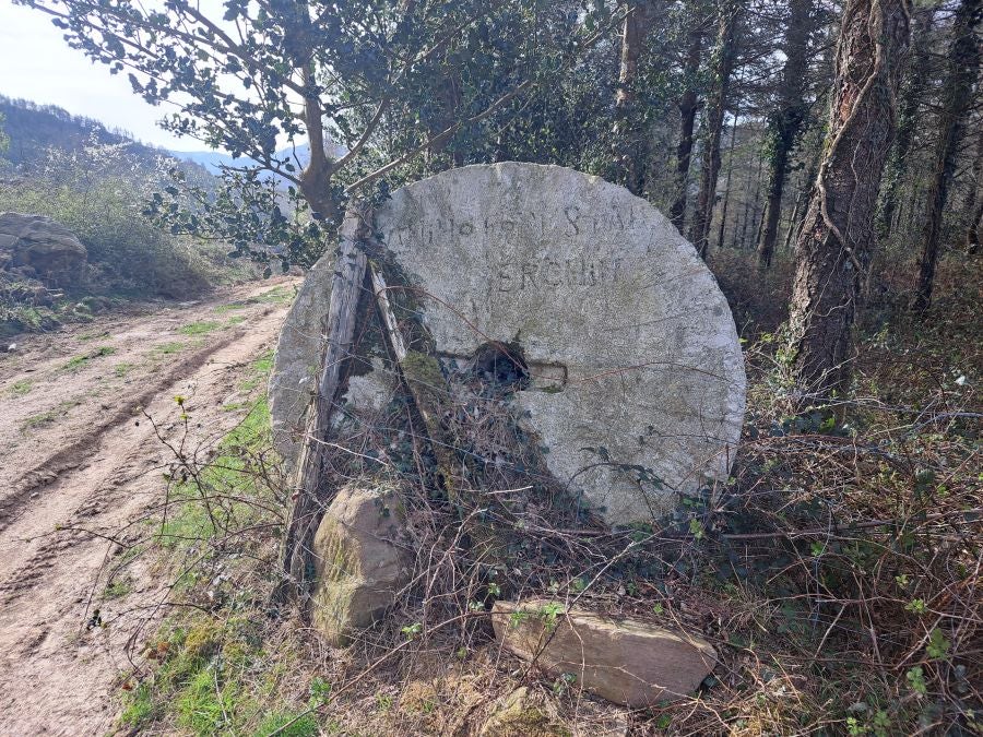 Oindo: Un precioso paraje entre Gipuzkoa y Navarra