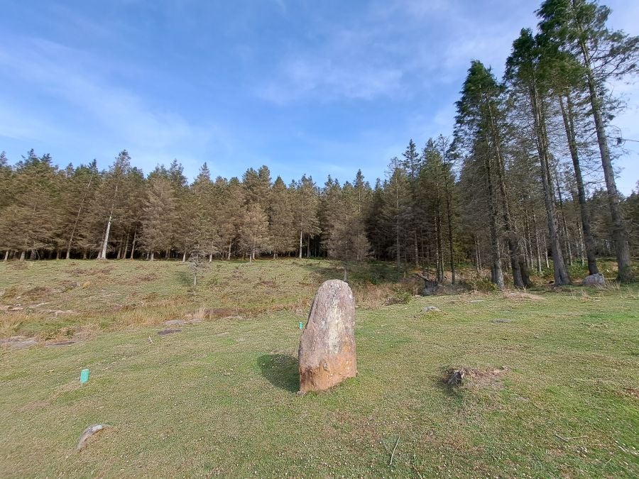 Oindo: Un precioso paraje entre Gipuzkoa y Navarra