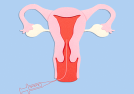 Proceso de división celular de un embrión.