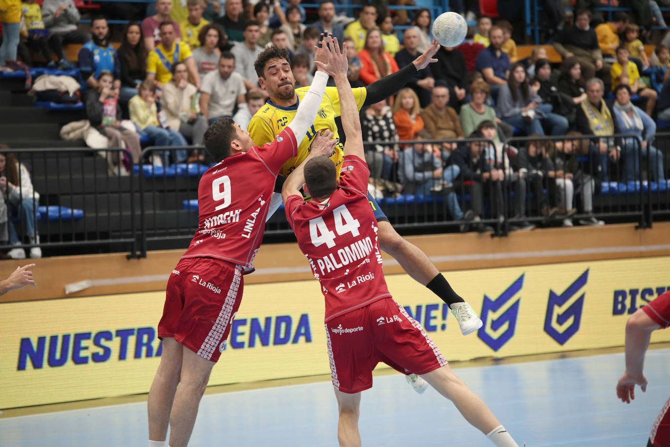 Poderosa victoria del Bidasoa ante el Logroño