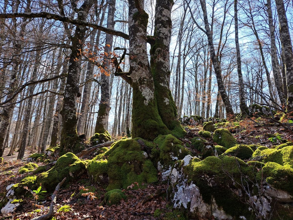 Santa Marina, un balcón en la Sierra de Urbasa