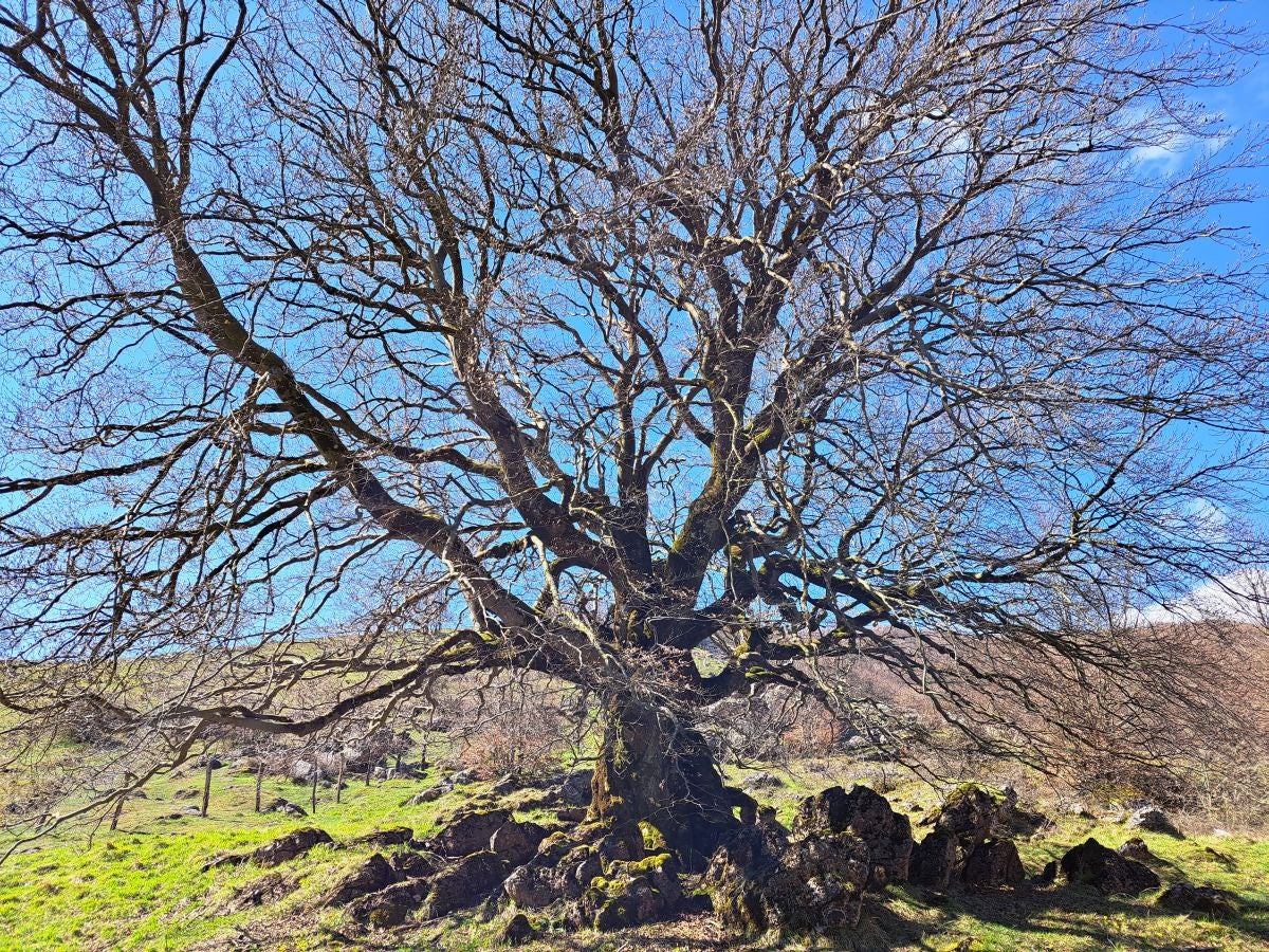Santa Marina, un balcón en la Sierra de Urbasa